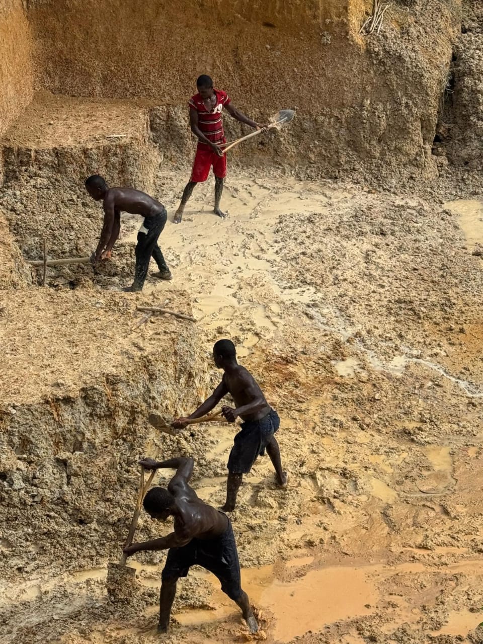 Guinea, Sierra Leone & Liberia